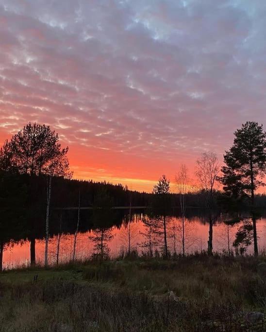 Villa Tuikkula Соткамо Екстериор снимка